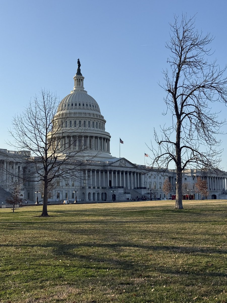 Sam Lisker tweet media