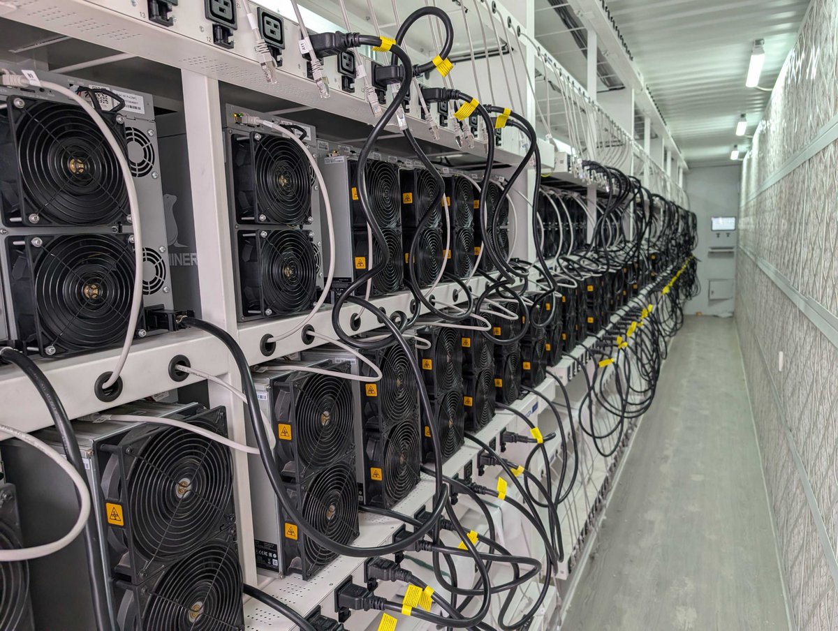 Terra Hosting tweet media