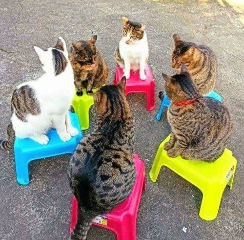 izia 🪞 tweet media