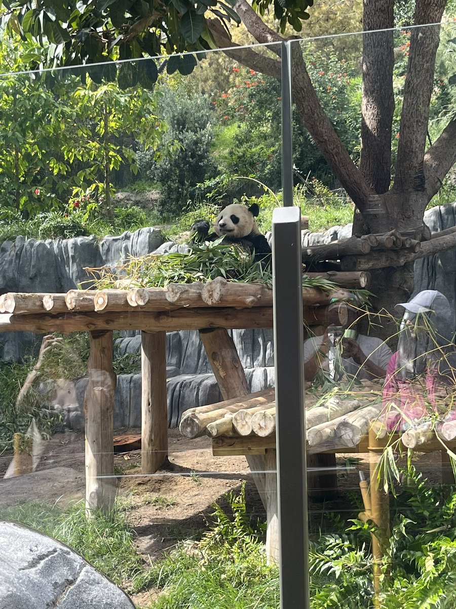 Swed Johnson tweet media