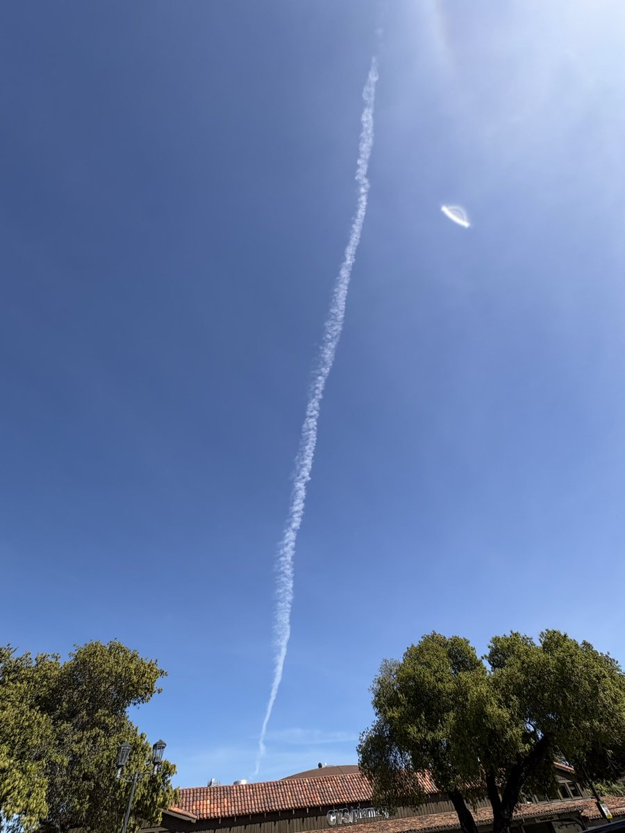How is this normal? 

Is this the yellow dust I have on my grill and car?

California you need to ban this madness
