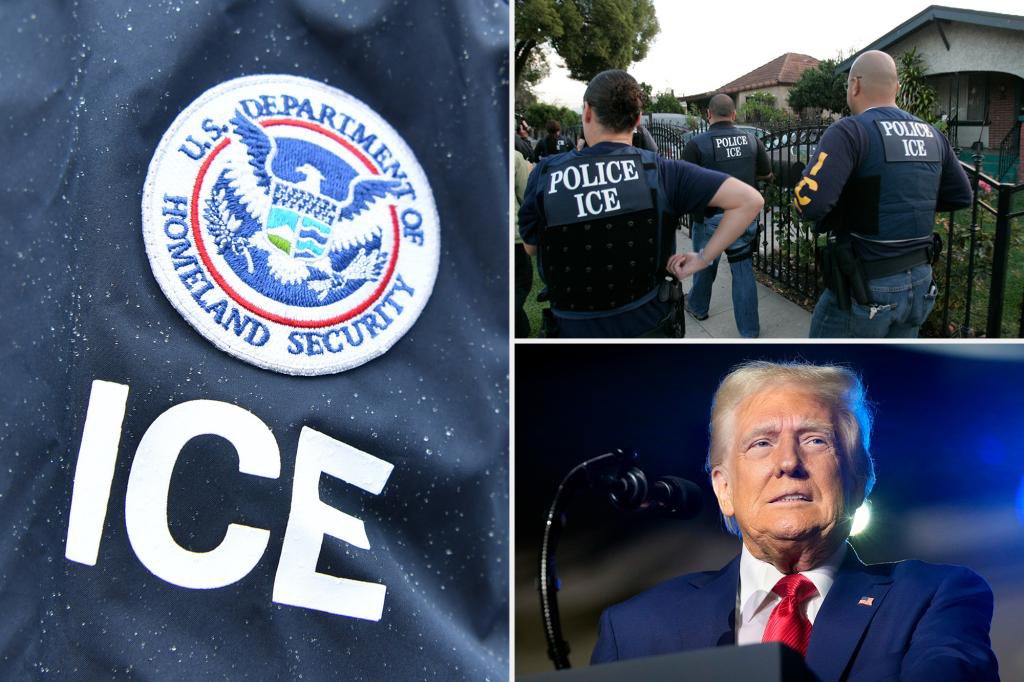 US Homeland Security News tweet media