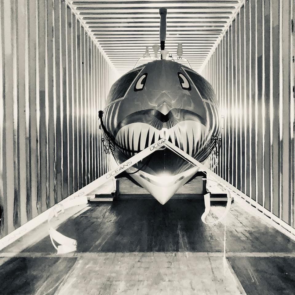 FightOarDie tweet media