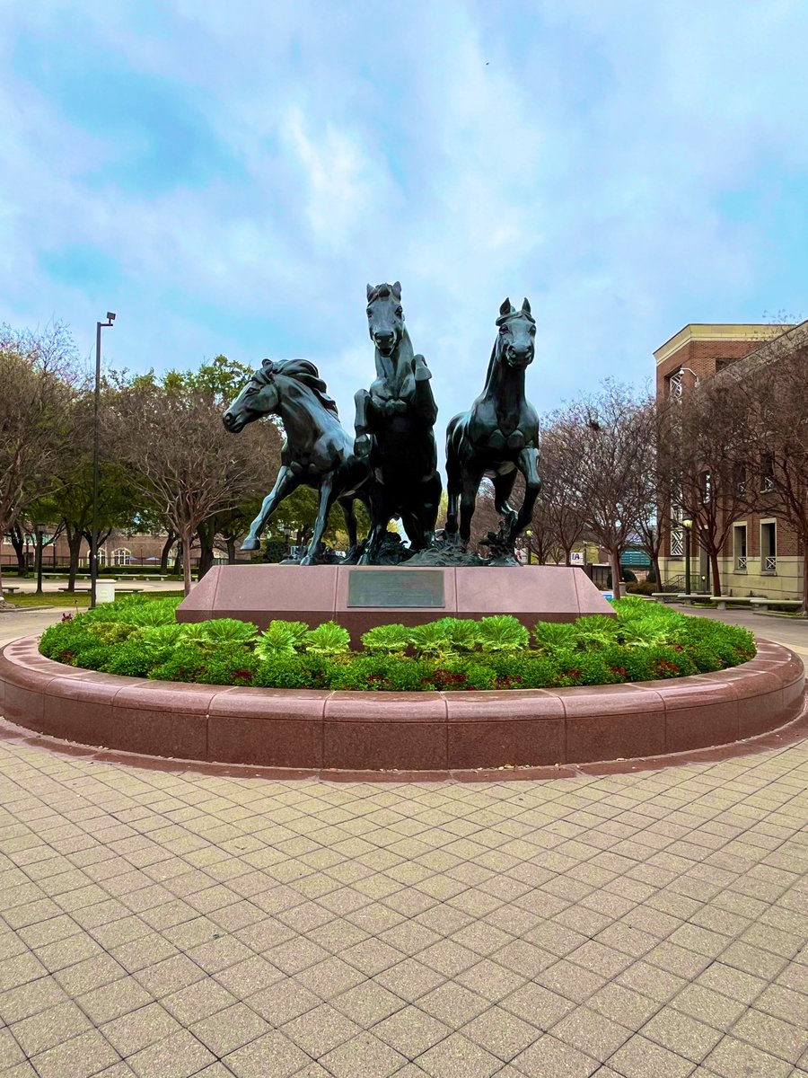 GA College Counseling tweet media