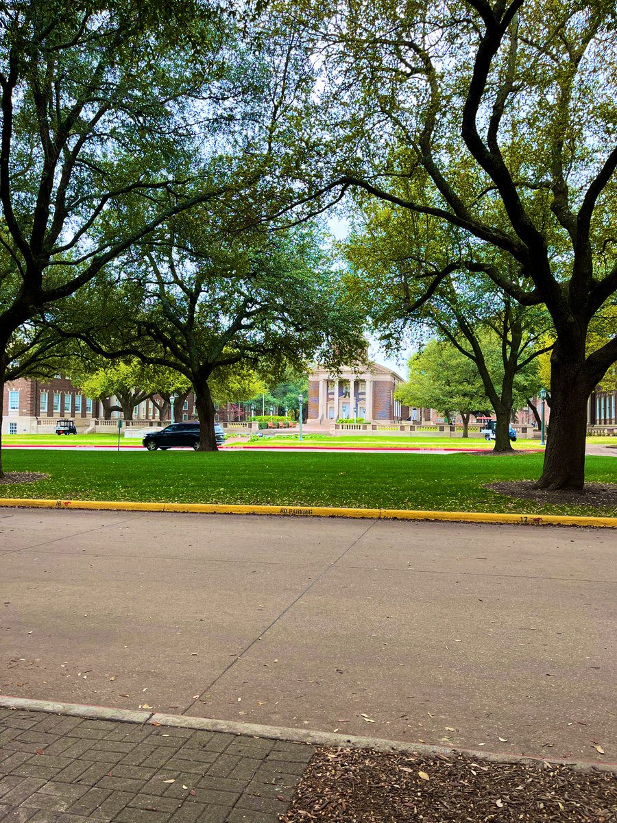 GA College Counseling tweet media