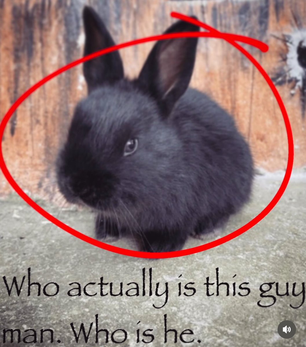 ShitpostGateway (@shitpostgate) on Twitter photo 