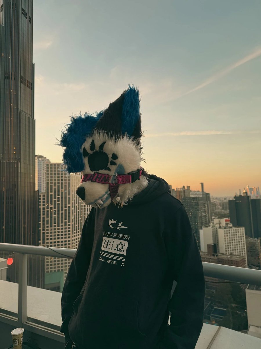 Goodness, 2025 has already passed.

We want to bring out more designs...plus stickers...👀

Just an interest check; what species would you wanna see on a hoodie, and which color?