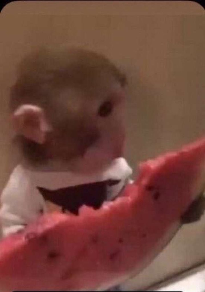 🧣lebaru (objectif ✍️) tweet media