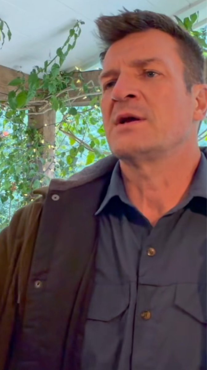 Birgit R. 🌻 tweet media