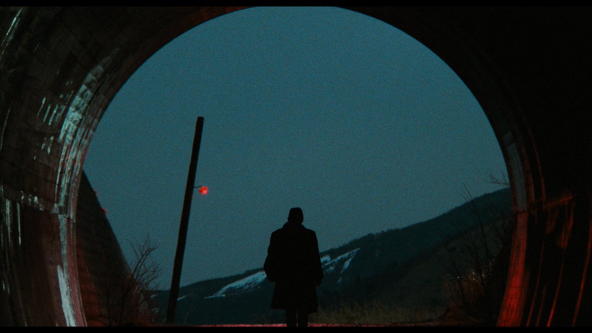 colditioner's tweet photo. What was the most beautiful movie you’ve ever watched? https://t.co/XsnIcD3e8Y