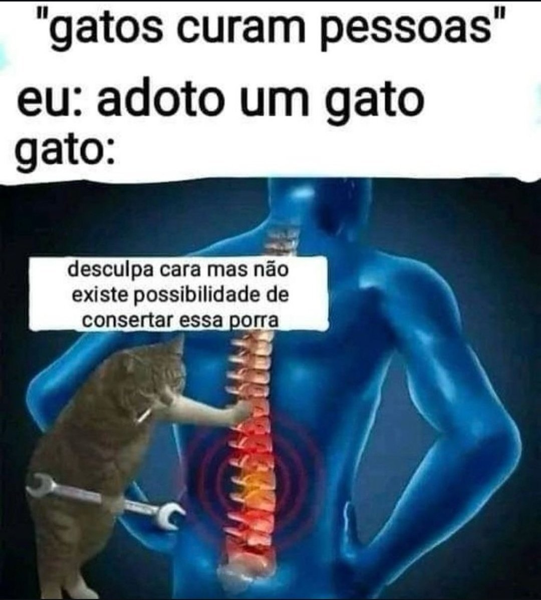 5gramasdememes's tweet photo. 🤝 https://t.co/hn6dmwOQgn