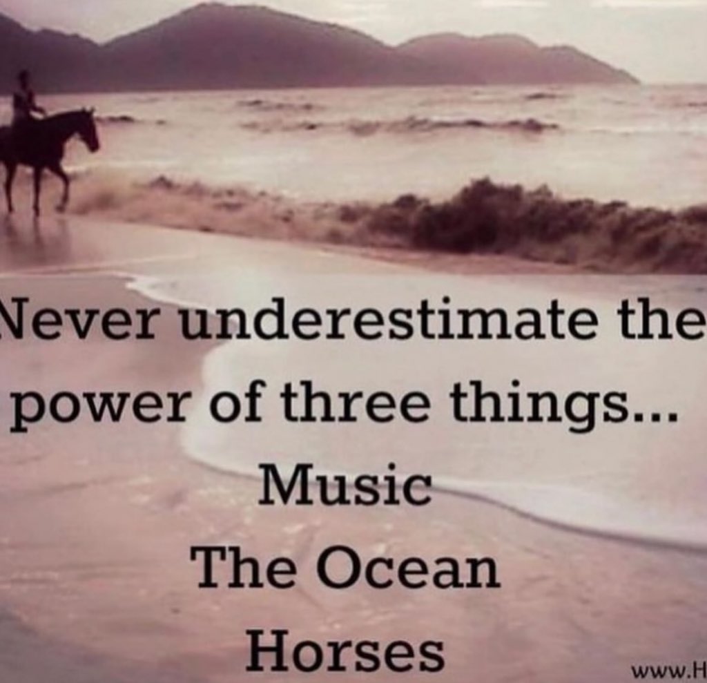 horse (@horseimage) on Twitter photo 