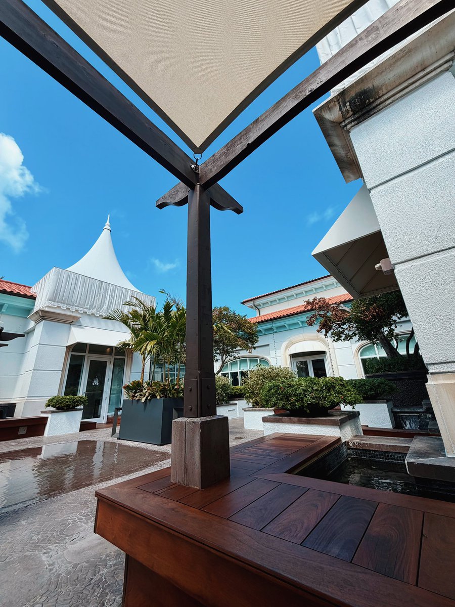 Stella Song tweet media