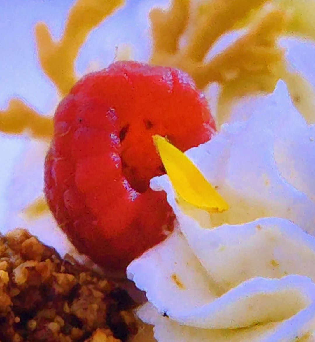 Alyn McFetridge tweet media