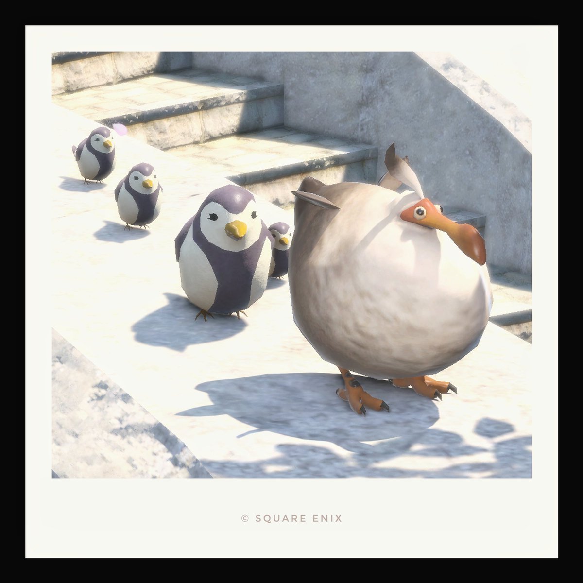 アサ🦤 tweet media