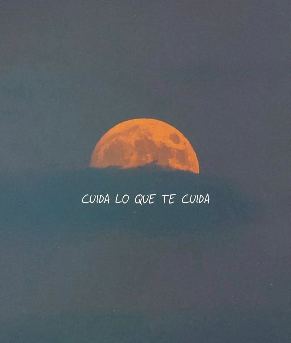 𝗧 𝗲 𝘅 𝘁 𝗼 𝘀 𝗡 𝘂 𝗯 𝗹 𝗮 𝗱 𝗼 𝘀 ☁️ (@textosnublados) on Twitter photo 