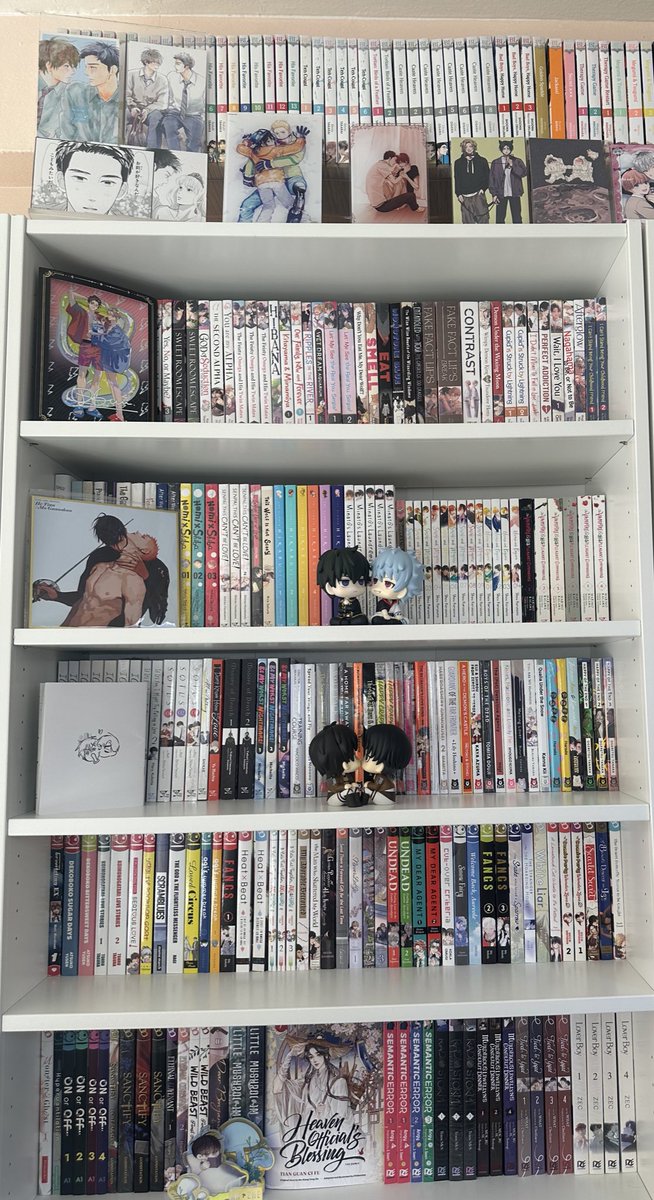 sskslov's tweet photo. I’ve been so busy preparing for my trip but I finally manage to re organize my BL collection (apparently I own 661 vols of BL but you could never tell~ love ikea’s Billy) https://t.co/O64zSk1GI8