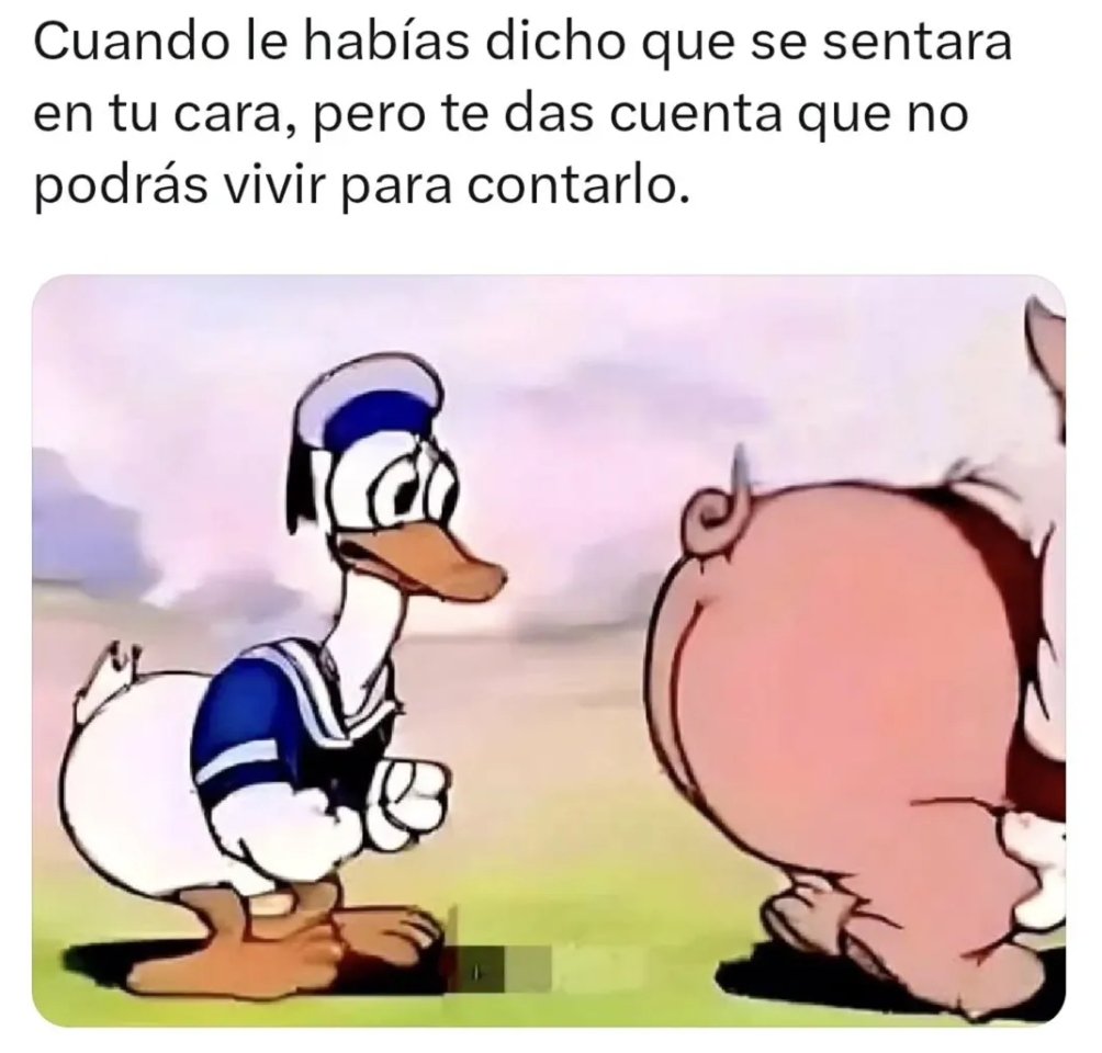 El CondeNado tweet media