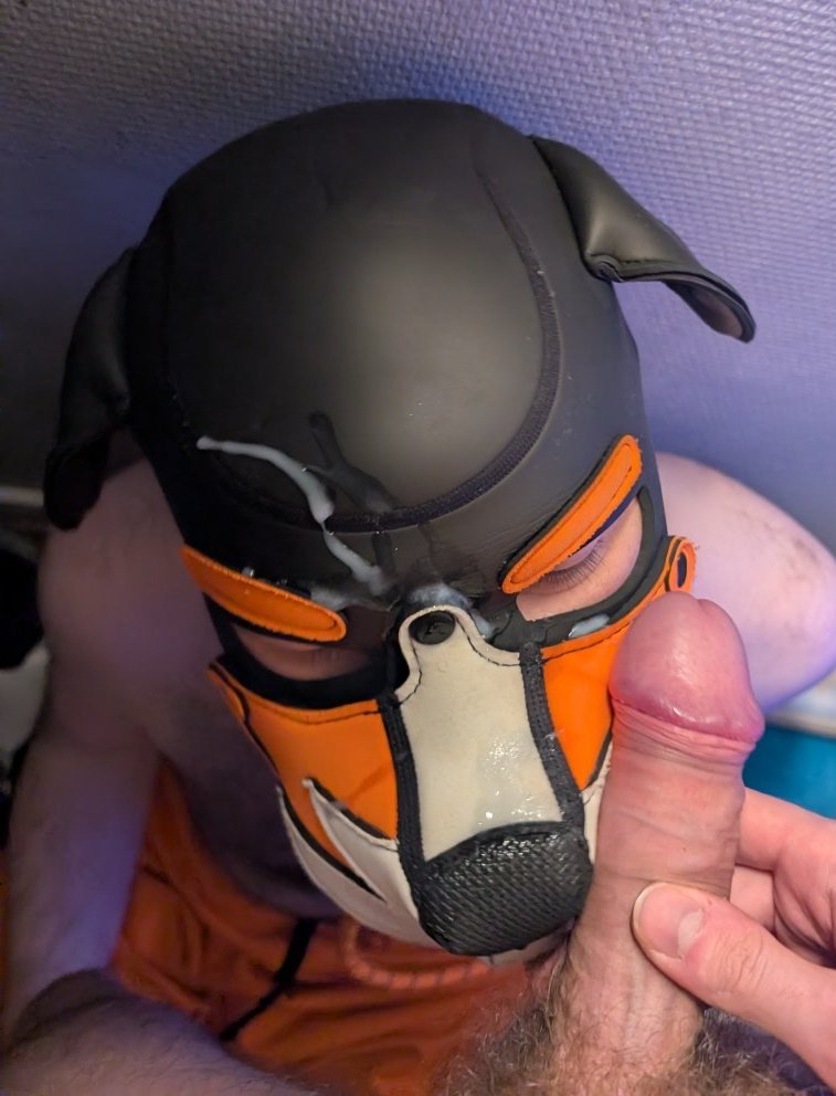 HellufAD's tweet photo. Am I a good dog ? :3 https://t.co/UQYvDvy9Gy
