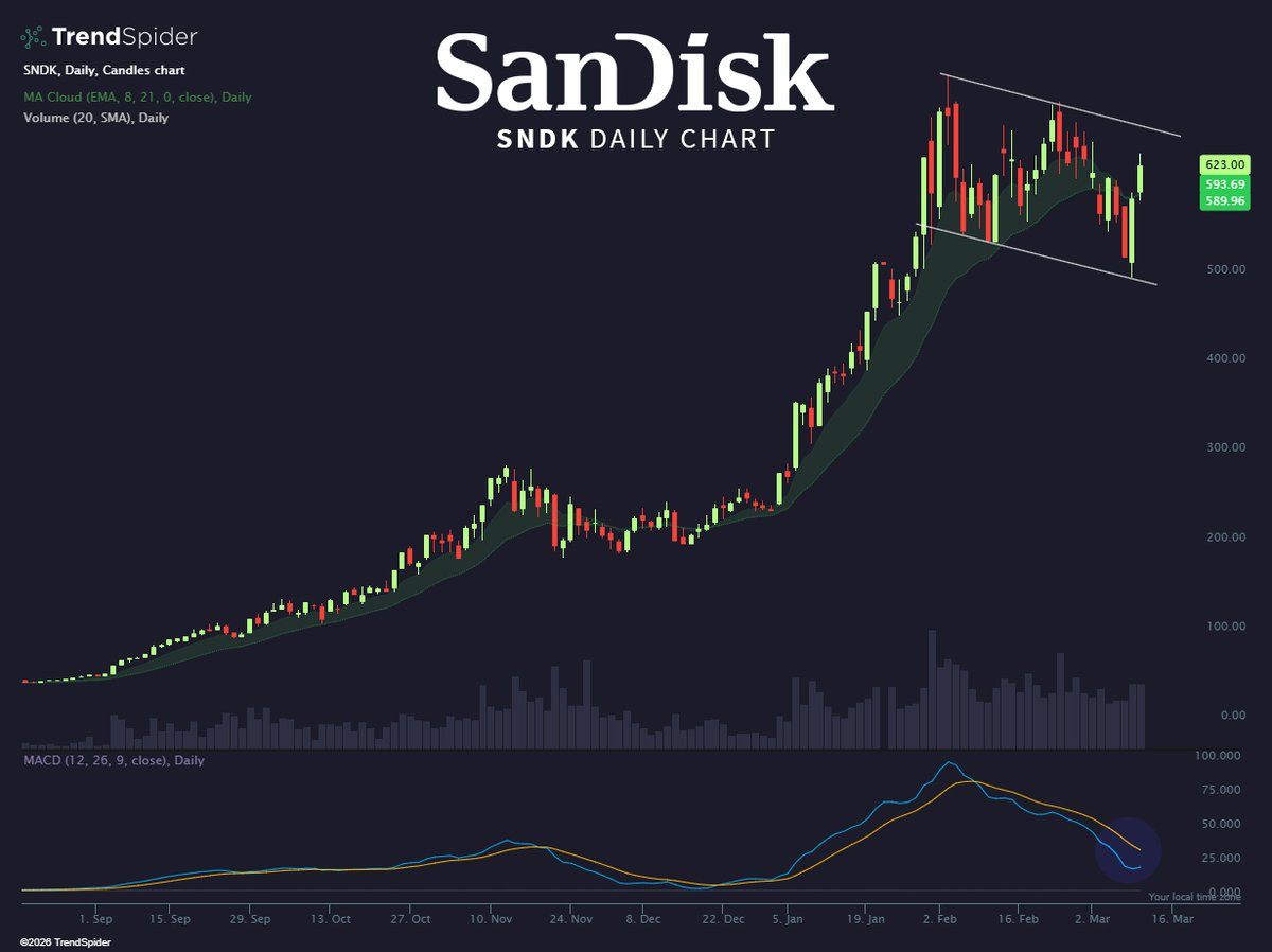 $SNDK Wait, it's just a bull flag?