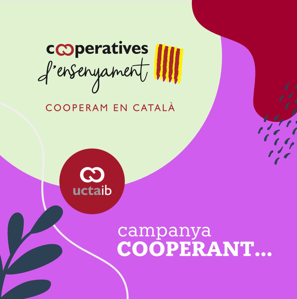 elCrepuscle tweet media