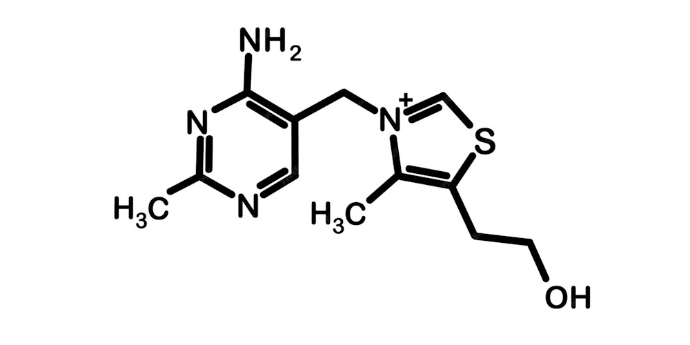 Ergogenics tweet media