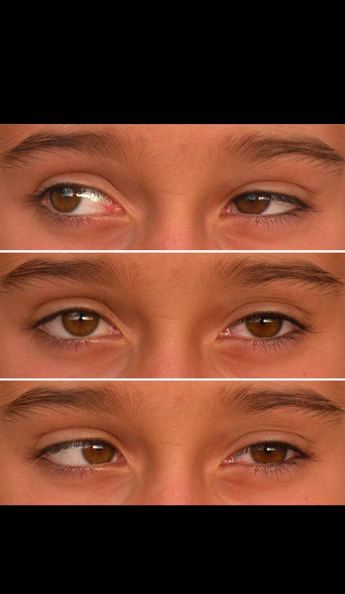 RAED ALOTAIBI tweet media