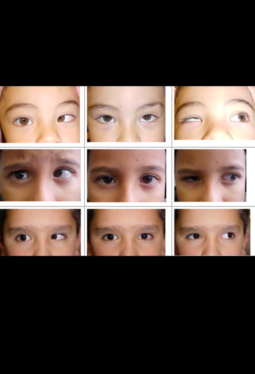 RAED ALOTAIBI tweet media