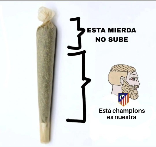 Toni🔴⚪(2,2% enjoyer) (@tonigonzlz) on Twitter photo 