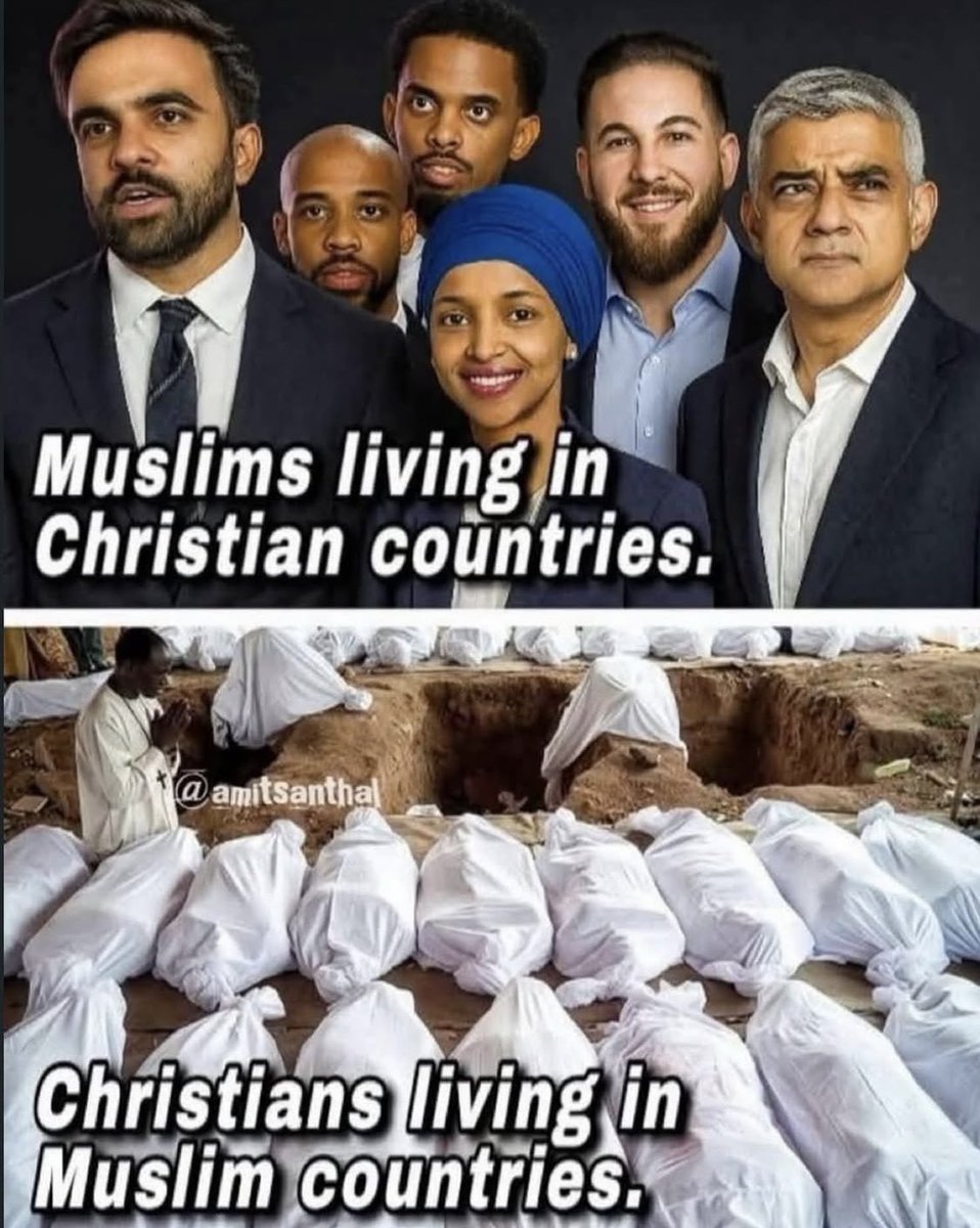 HELL HOUND tweet media