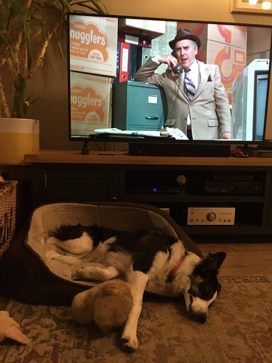 Puppy Bess and Auntie Kes tweet media