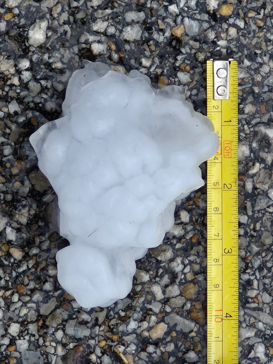 The Lightning Hunter tweet media