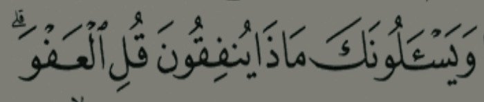 ْωleed'. tweet media