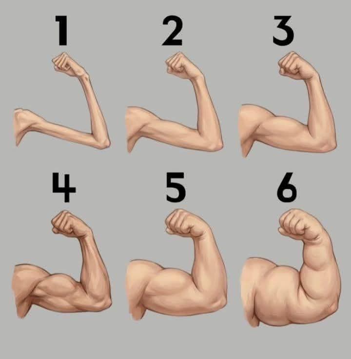 Varan 🐊 2.0🇨🇮 tweet media