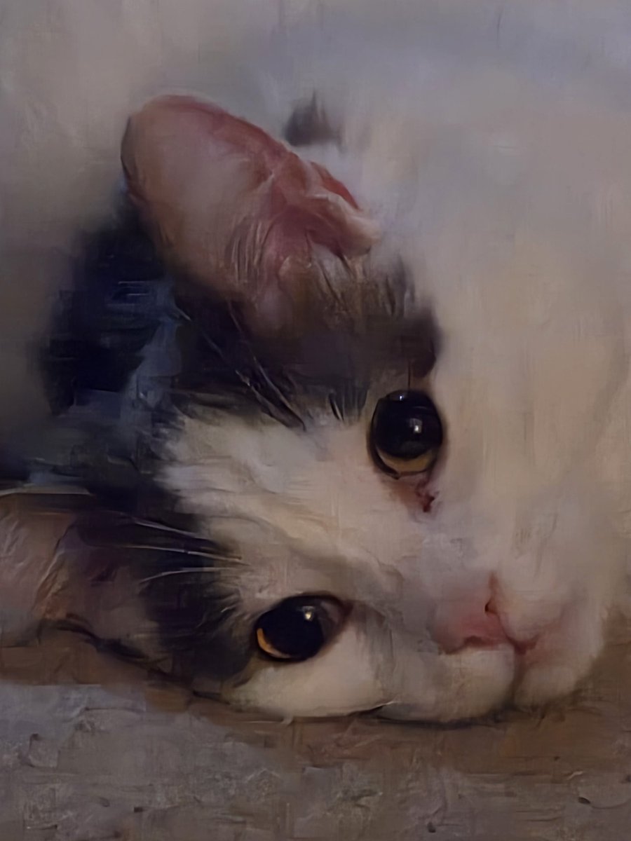 zoradragon's tweet photo. @SylaWinget56923 Sage says hi back! https://t.co/KwnJulhuy5