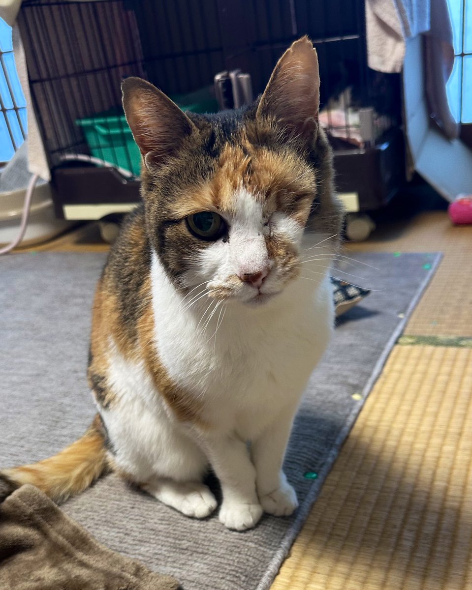 生きる
それだけでいい