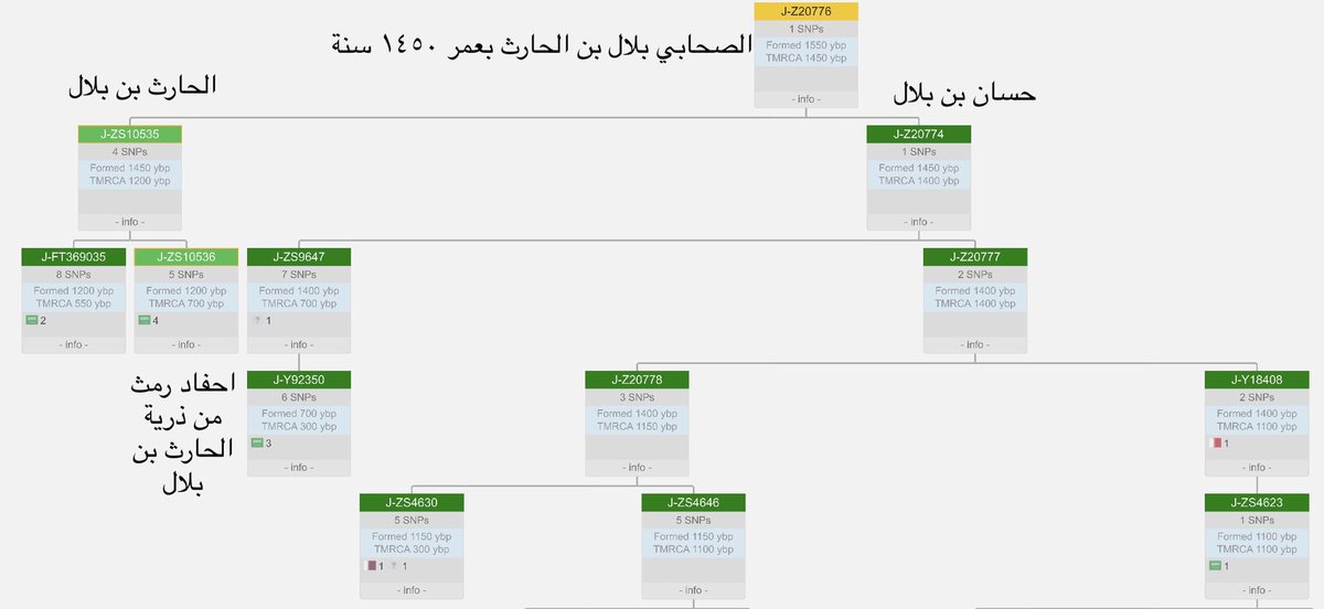 JFGC1695's tweet photo. والنعم 
لكن الجينات لها كلام اخر فالذين من ذرية رمث

هم الهواملة والحصنان ابناء جحيش وهم على

تحور مزينة J1-Z20775 ومعهم المحاورة من 

مزينة ومن ثم يلتقون مع مزينة مصر

لكن ذرية عبدالرحمن بن بلال هم الهواملة والحصنان والمحاورة وا��ا الذين خرجوا شرق الجزيرة الغالب انهم من اخوه بلال https://t.co/mxSOZNRT42