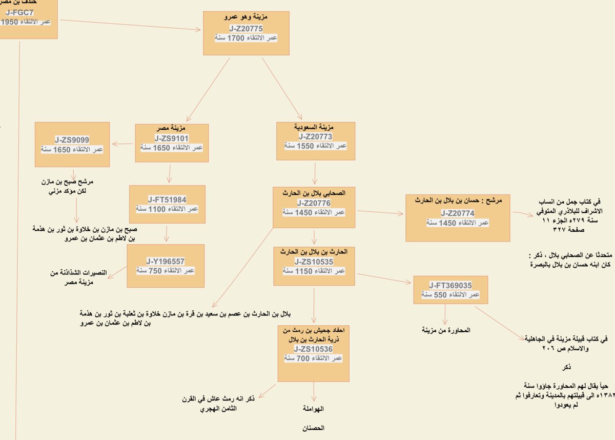 JFGC1695's tweet photo. والنعم 
لكن الجينات لها كلام اخر فالذين من ذرية رمث

هم الهواملة والحصنان ابناء جحيش وهم على

تحور مزينة J1-Z20775 ومعهم المحاورة من 

مزينة ومن ثم يلتقون مع مزينة مصر

لكن ذرية عبدالرحمن بن بلال هم الهواملة والحصنان والمحاورة وا��ا الذين خرجوا شرق الجزيرة الغالب انهم من اخوه بلال https://t.co/mxSOZNRT42