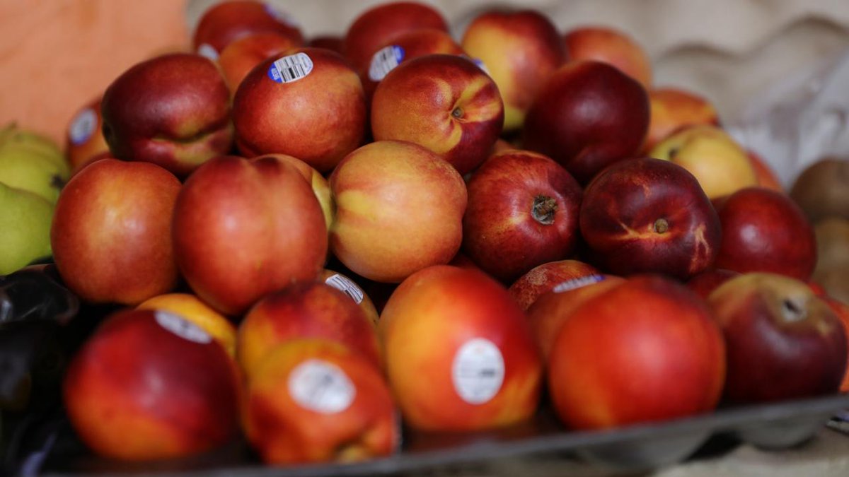 CONAFIPS 🇪🇨 tweet media