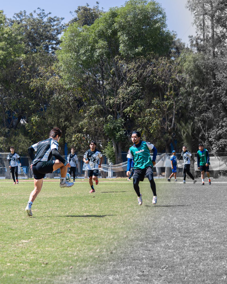 TorosCelayaCD's tweet photo. 📸 | martes en casa 🙌 a tres días 🔜 #J23 🤘

#CELAYAsomosTOROS 💙 https://t.co/gVcOz8107D