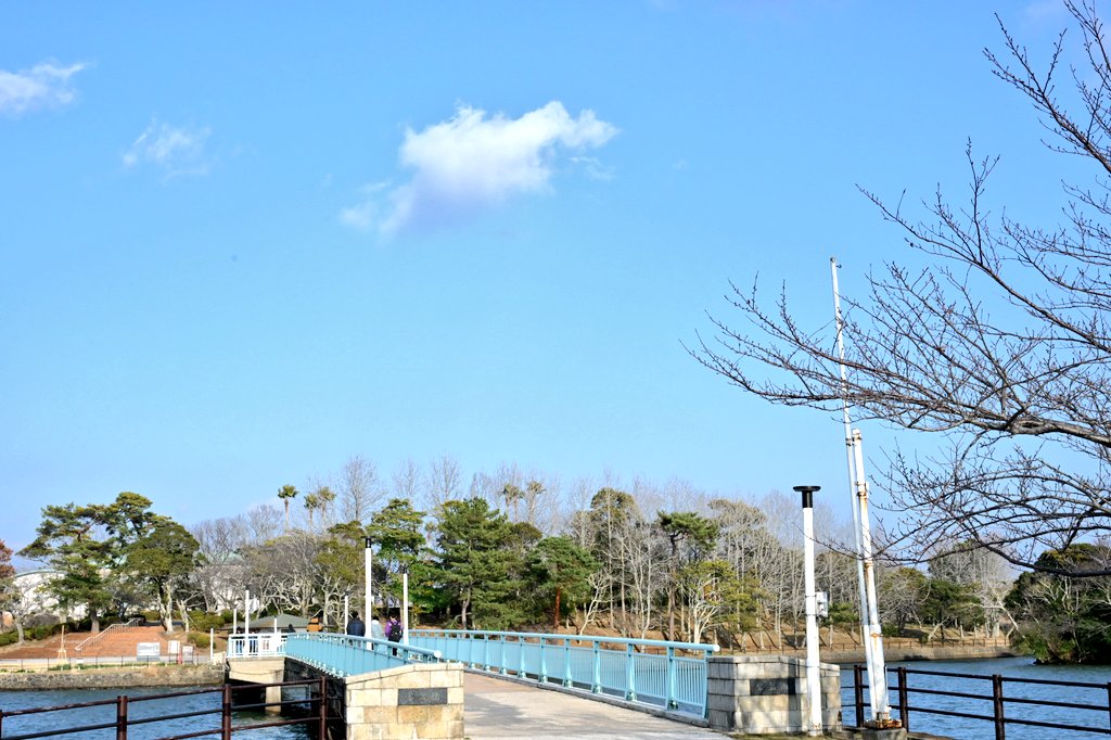 Tweet image