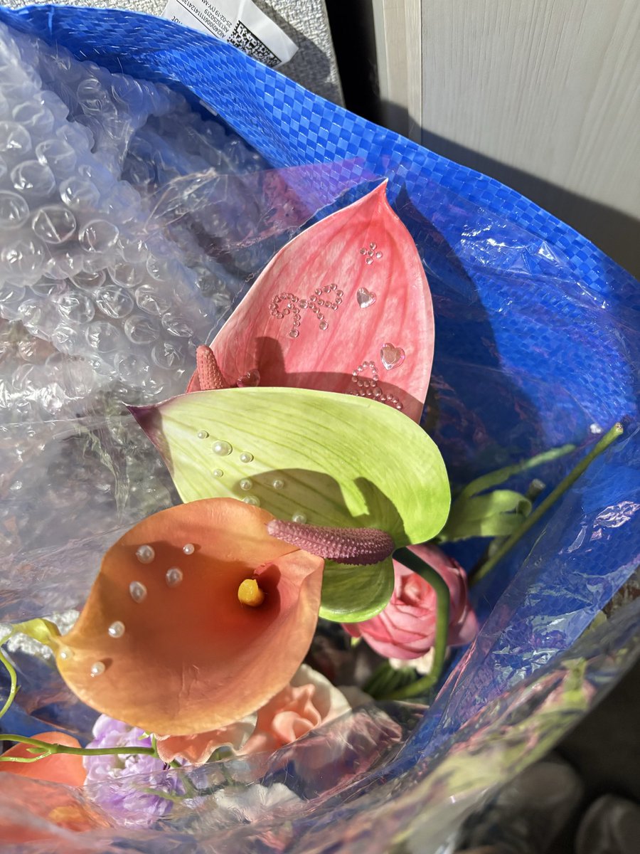 今日は撮影に行ってきます。