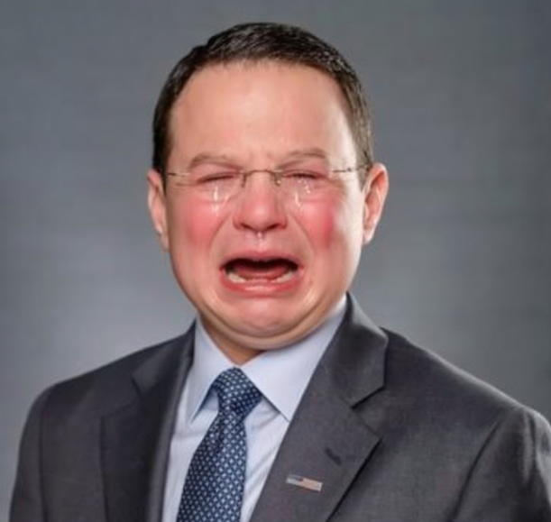 🇺🇸🇨🇿🇸🇪 PENNSYLVANIA IS TRUMP™ tweet media