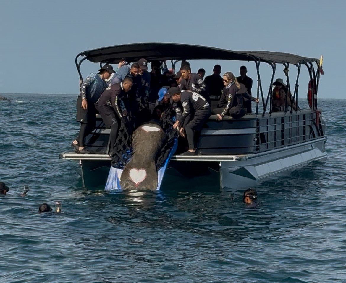 CORPAMAG tweet media