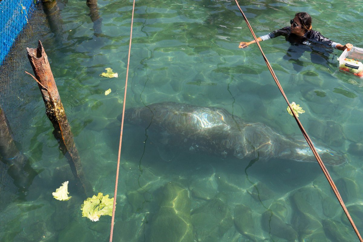 CORPAMAG tweet media