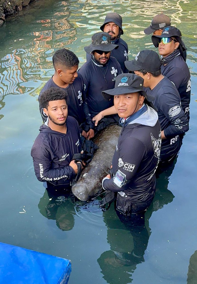 CORPAMAG tweet media