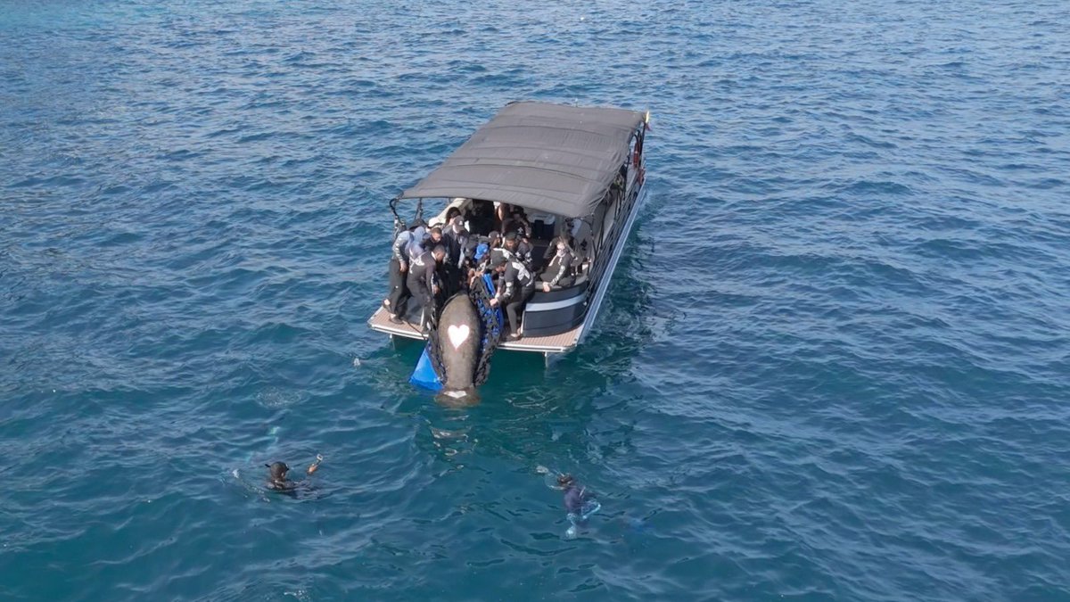 CORPAMAG tweet media