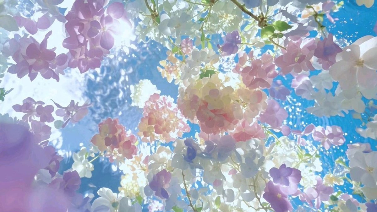 ًKaleia. tweet media