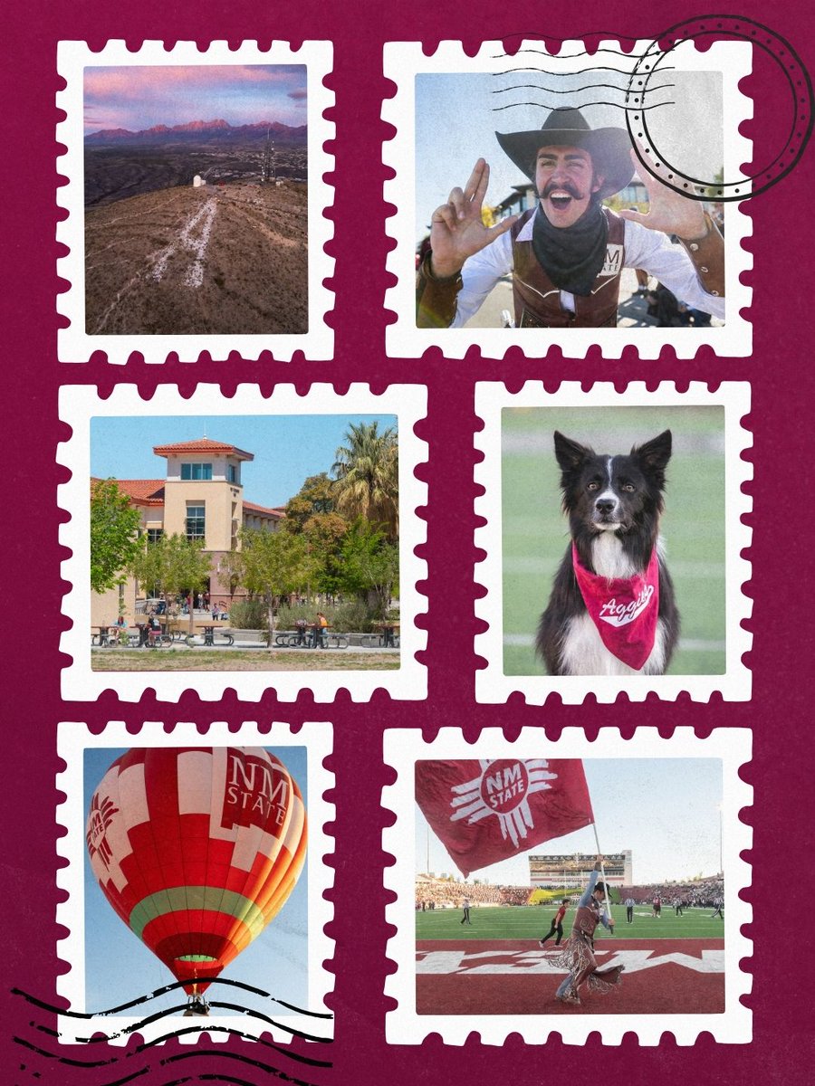 New Mexico State tweet media