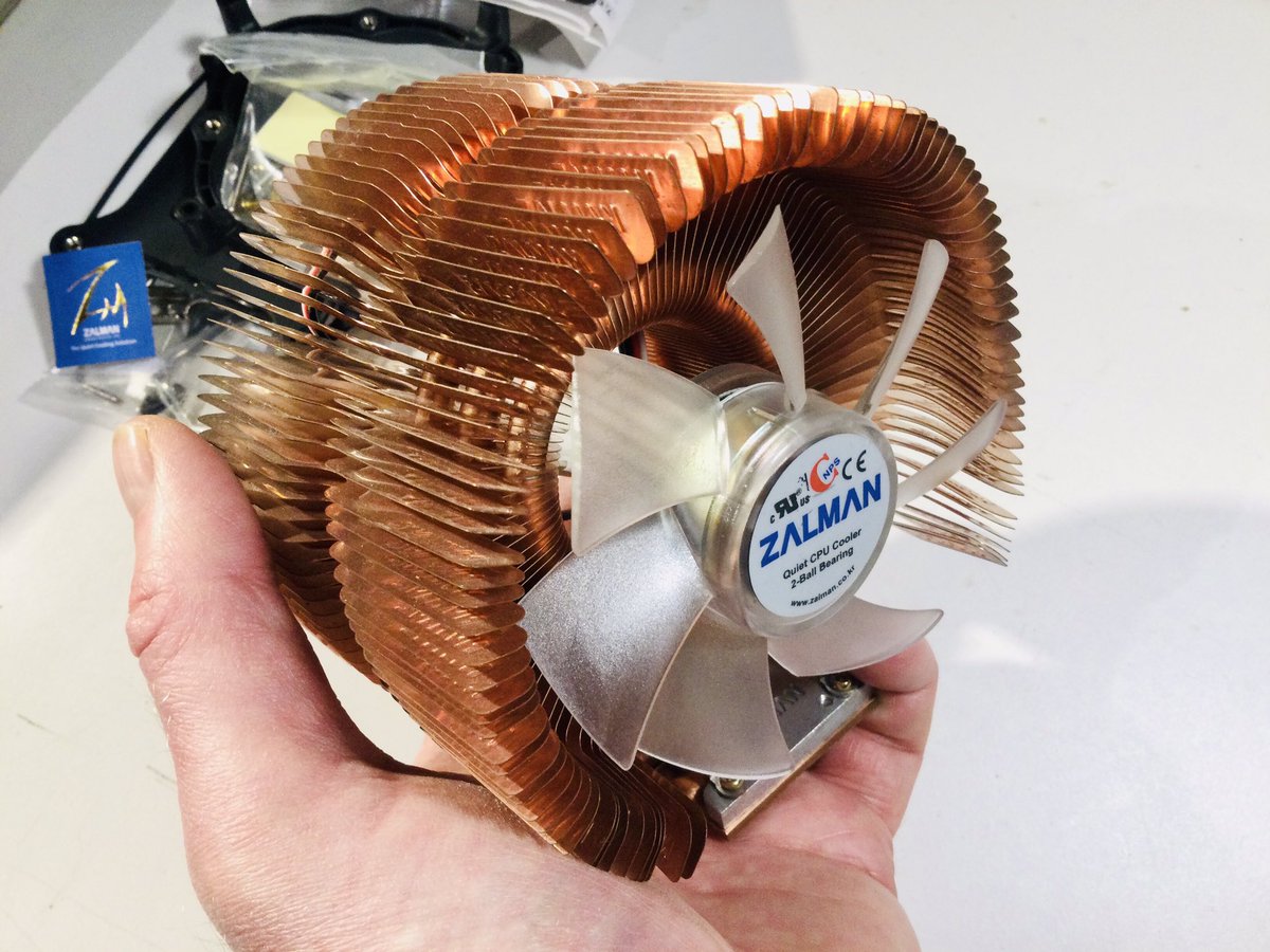 gordoslegacylair tweet media